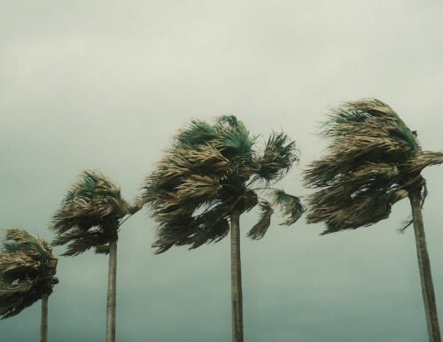 viento
